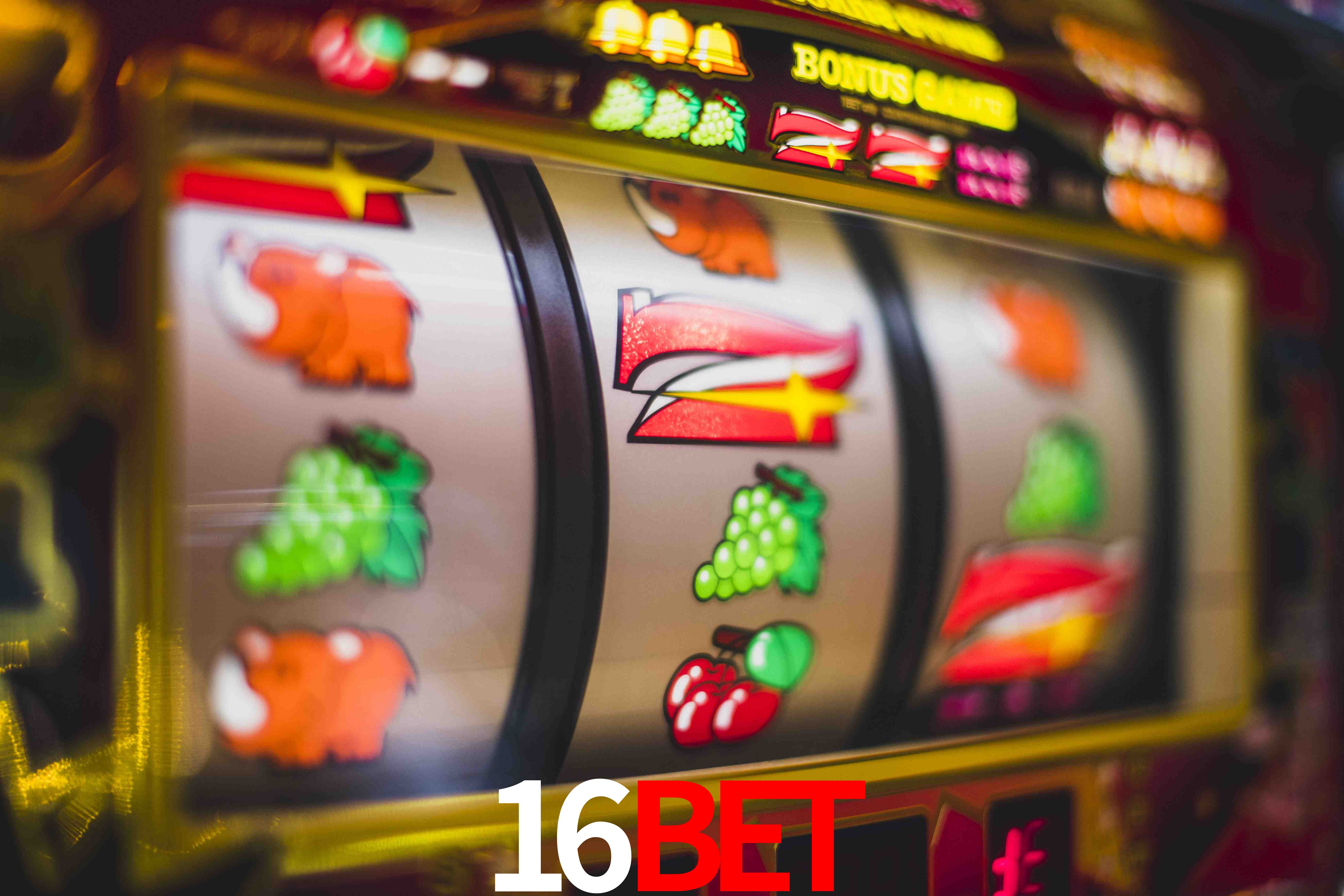 Basketball Betting 16bet